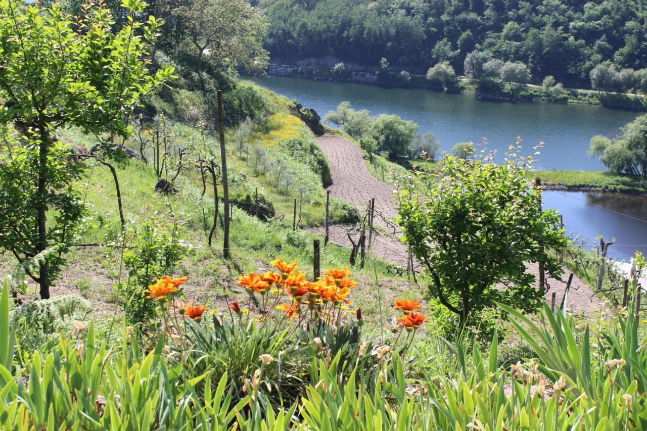 "Bouca Drigues" Casa Antiga De Pedra Com Piscina E Vista Rio Villa Amarante Eksteriør bilde