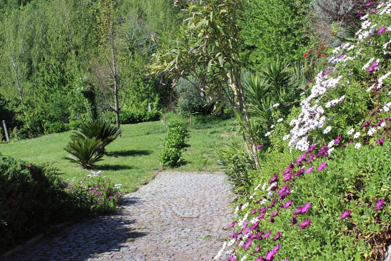 "Bouca Drigues" Casa Antiga De Pedra Com Piscina E Vista Rio Villa Amarante Eksteriør bilde