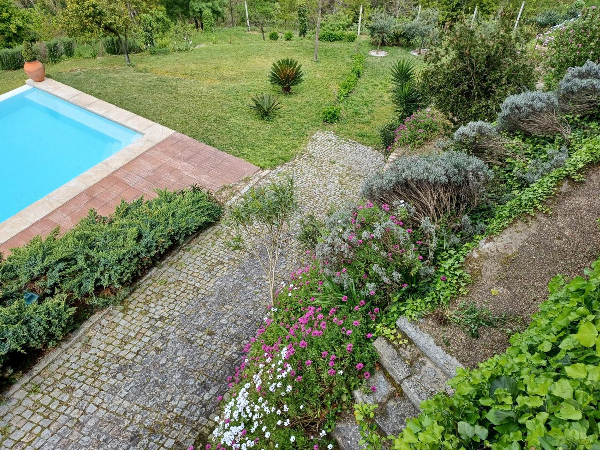 "Bouca Drigues" Casa Antiga De Pedra Com Piscina E Vista Rio Villa Amarante Eksteriør bilde